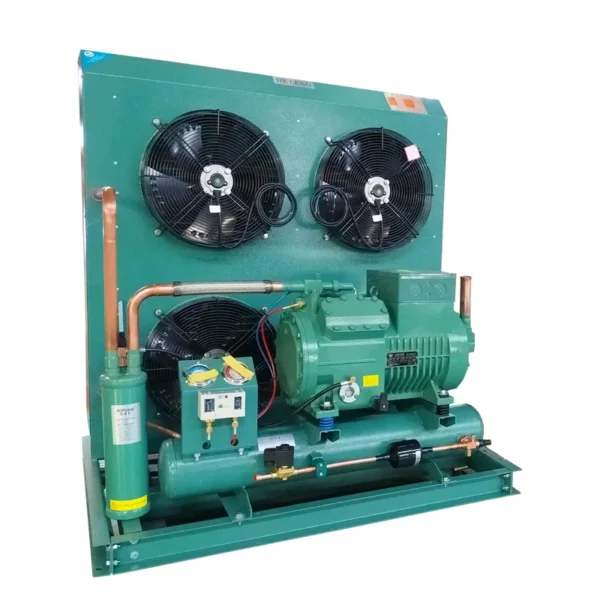 Storage Room Refrigeration Compressor, 220 V, R-404A - view 2