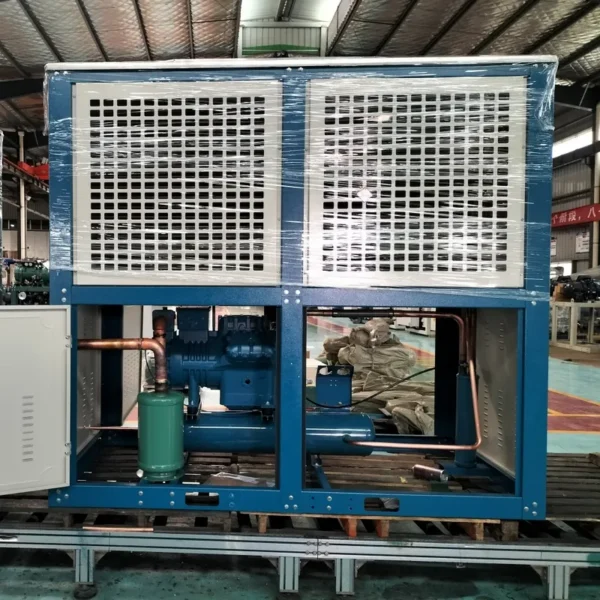 Storage Room Refrigeration Compressor, 220 V, R-404A - view 5