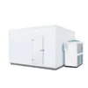 Storage Room Walk-in Freezer, 110v-480v, 1.35KW - view 3