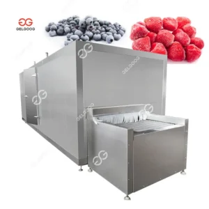Strawberry with Nitrogen Freezer, IQF, 380V, sus304