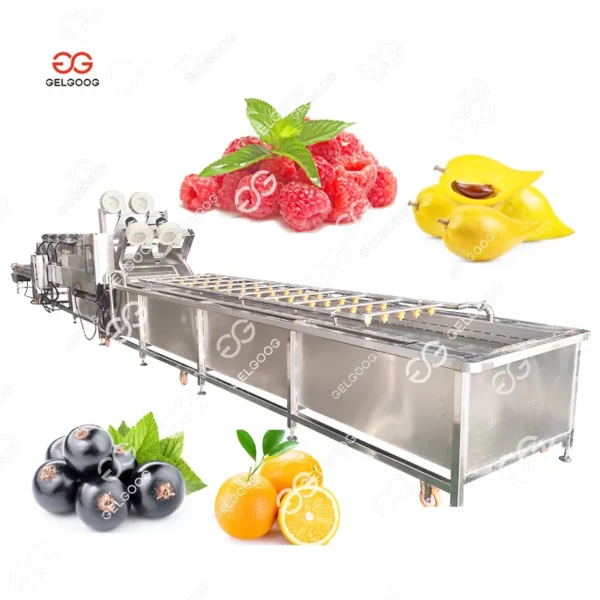 Strawberry with Nitrogen Freezer, IQF, 380V, sus304 - view 3