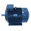 Synchronous Motor, Induction Motor, YX3