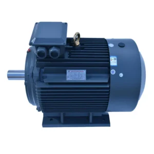Synchronous Motor, Induction Motor, YX3