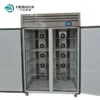 Thawing Equipment, 220v, 3.5kw