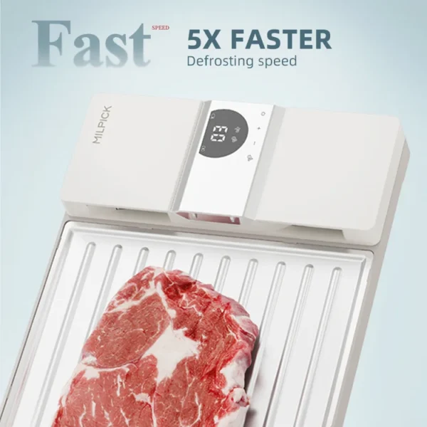 Thawing Equipment, ABS+Aluminum Plate, Meat & Poultry Tools - view 5