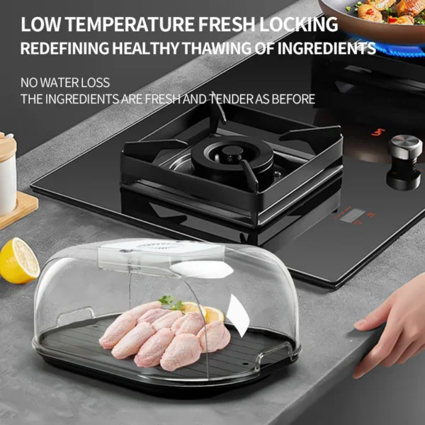 Thawing Equipment, LD2478-1 - view 3