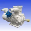 Three Phase Induction Motor, 37KW, EXCN, YBBP-280S-8, IE3 - view 5