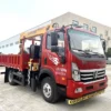 Truck Crane Zoomlion Pump, 13m