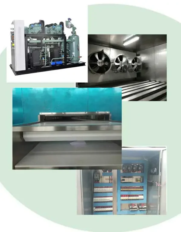 Tunnel Freezer, 220V, 200-500kg - view 3