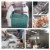 Tunnel Freezer, 220V, 200-500kg - view 5