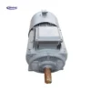 Turbine Electric Dynamo Generator, Brushless, 5kw, 220, 5mw