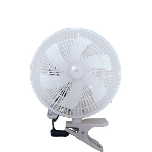 Two Motor, 11inch, 360