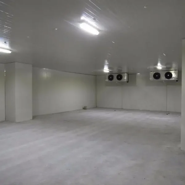 Unit Cooler, ceiling, 110V, 900m³ - view 6