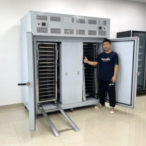 Upright Plate, 30-Tray, 220V, 5500W
