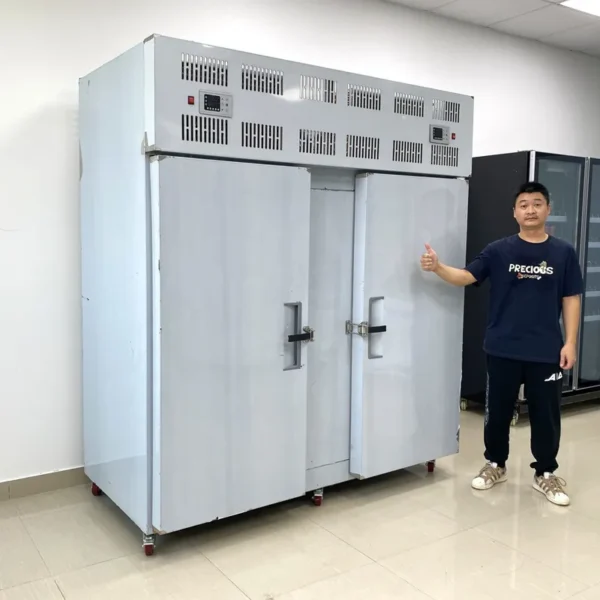 Upright Plate, 30-Tray, 220V, 5500W - view 6