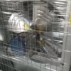 Vertical Extractor, Axial, Other, Stainless Steel - view 4