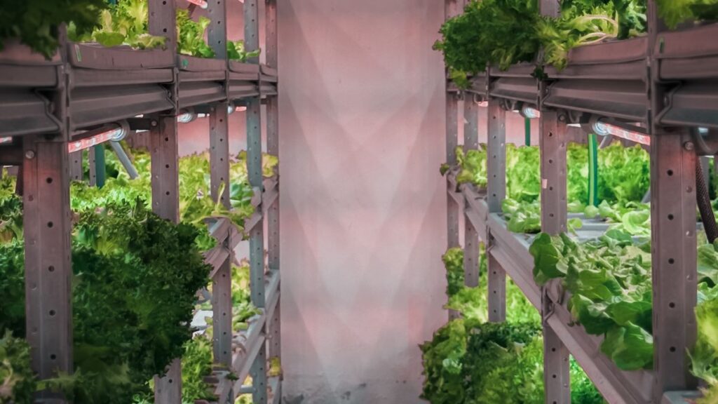 Vertical Farm & Indoor Growing HVAC