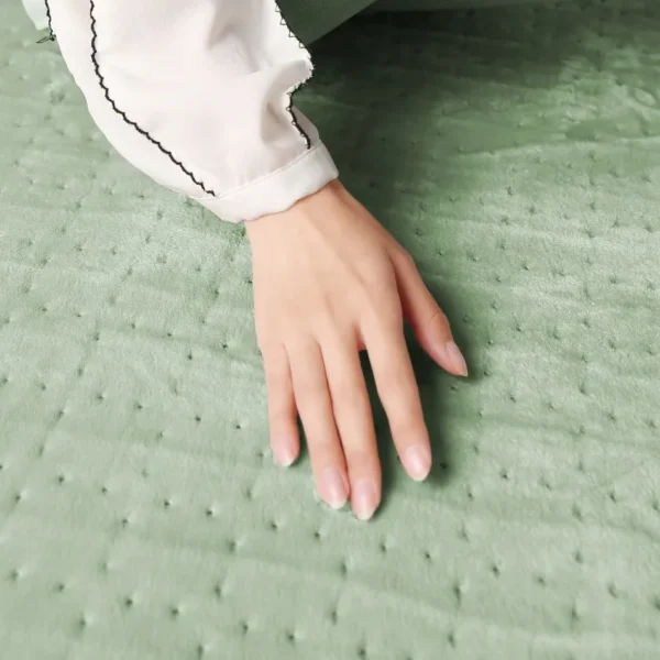 Voltage Electric Blanket, 220, AC220V, EU Plug - view 4