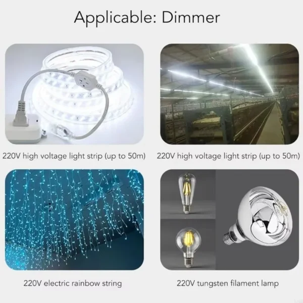 Voltage Regulator Adjustable Motor, 110-230V - view 6