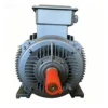 Voltage Three-phase Induction Motor, Y2, 6KV