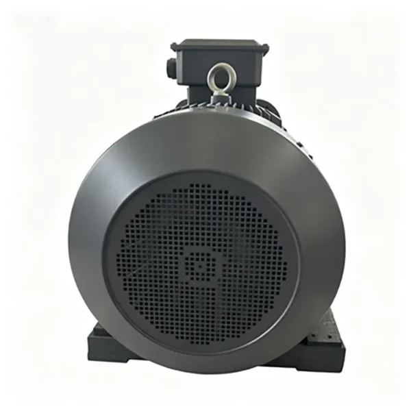 Voltage Three-phase Induction Motor, Y2, 6KV - view 5