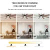 Volume Ceiling Fan, INCH, APP, CONTROL, LED - view 5