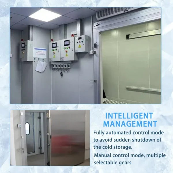 Walk-in Cold Storage Freezer, Solar, 110 V, R404 - view 3
