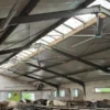 Wall Fan, 220V, BLDC - view 4