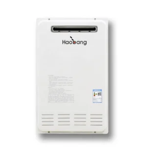 Wall Mounted Gas Boiler, 220, 40000