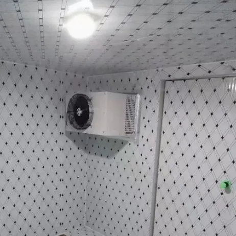 Wall-mounted Monoblock Refrigeration Unit, 220 V, R-404A - view 5