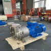 Water Ring Vacuum Pump, ZRFX, 2BV2071, Stainless, Steel