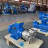 Water Ring Vacuum Pump, ZRFX, 2BV2071, Stainless, Steel - view 2