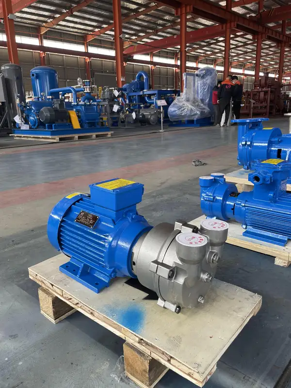 Water Ring Vacuum Pump, ZRFX, 2BV2071, Stainless, Steel - view 2