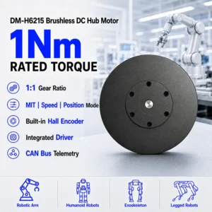 Wheel Hub Motor, DAMIAO, DM-H6215, CAN, Brushless