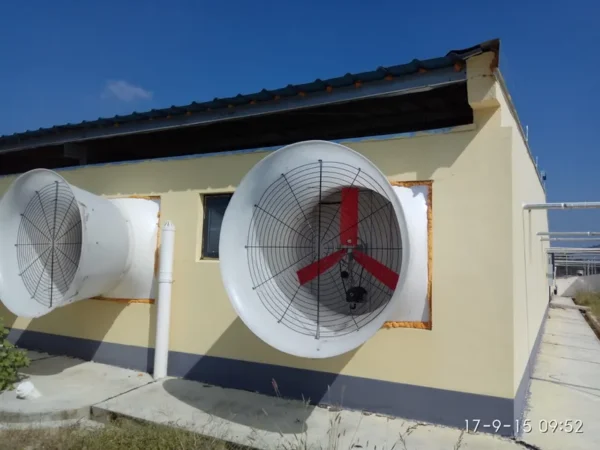 Wind Cone Exhaust Fan, ZYMK, FRP - view 5