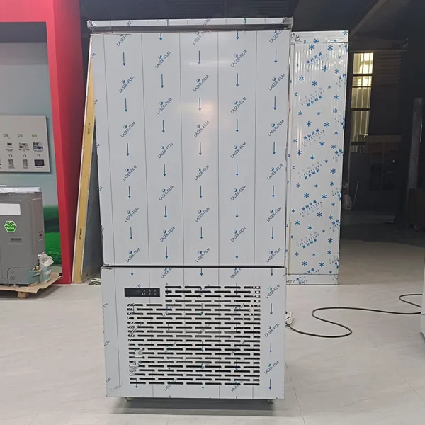 -80 Degree Blast Chiller, IQF, 10-Tray - view 6