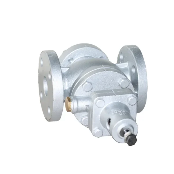 Adjustable Pressure Reducing Valve, DKV, GP-1000, NPT, JIS - view 6