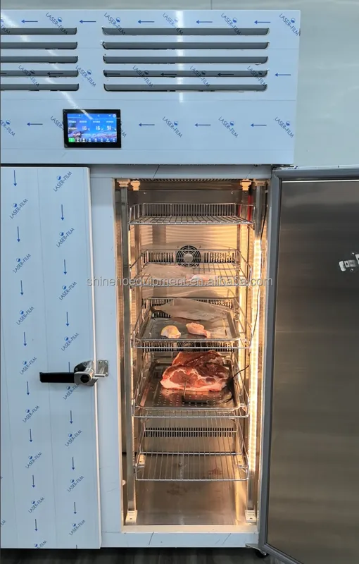 Ager and Thawing Refrigerator, 220-240 - view 2