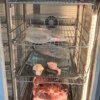 Ager and Thawing Refrigerator, 220-240 - view 6