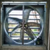 Agricultural Ventilation Exhaust Fan, 110-240V, Electric