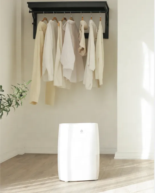 Air Closet Room Dehumidifier, 18L, Portable - view 2