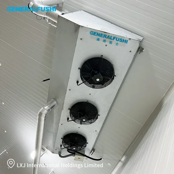 Angled Discharge Air Cooler, GENERALFUSHI, R-404A - view 3
