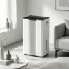 App Control Portable Dehumidifier, 20L, 220v - view 5