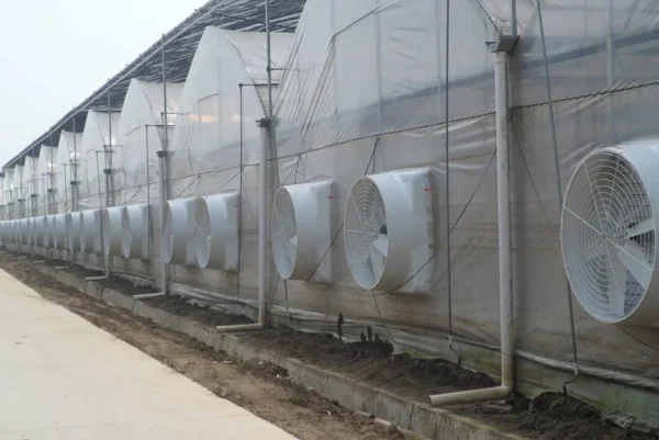 Axial Fan, FRP, Wall, PVC - view 3