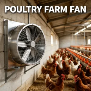 Axial Flow Fans