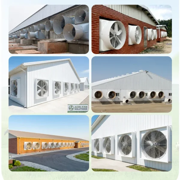 Axial Flow Fan, 550mm, 8100m/h, EER18.9, FRP - view 6