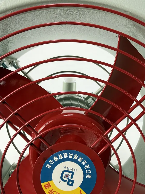 Axial Flow Fan, BFAG-200, 1450RPM, Explosion-proof, 220V/380V - view 4