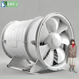 Axial Flow Fan, Explosion-proof, 380V, Electric, BORUI