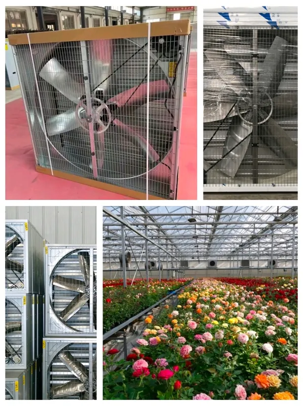 Axial Louver Exhaust Fan, TWO, 220 V, Electric - view 2