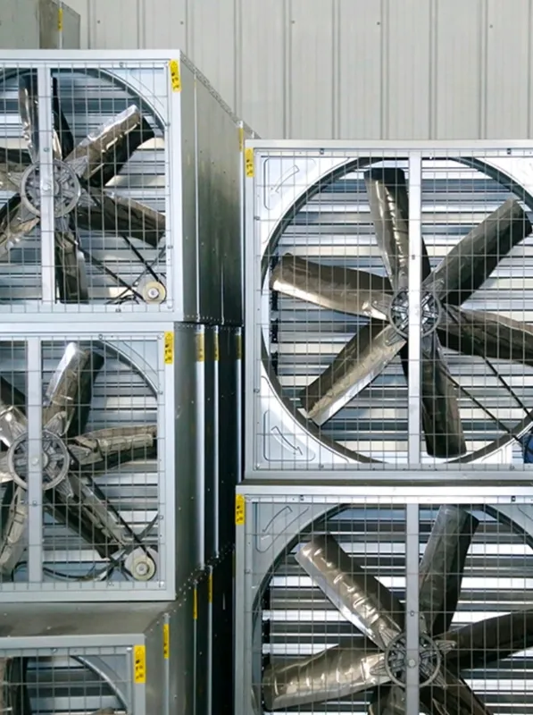 Axial Louver Exhaust Fan, TWO, 220 V, Electric - view 6